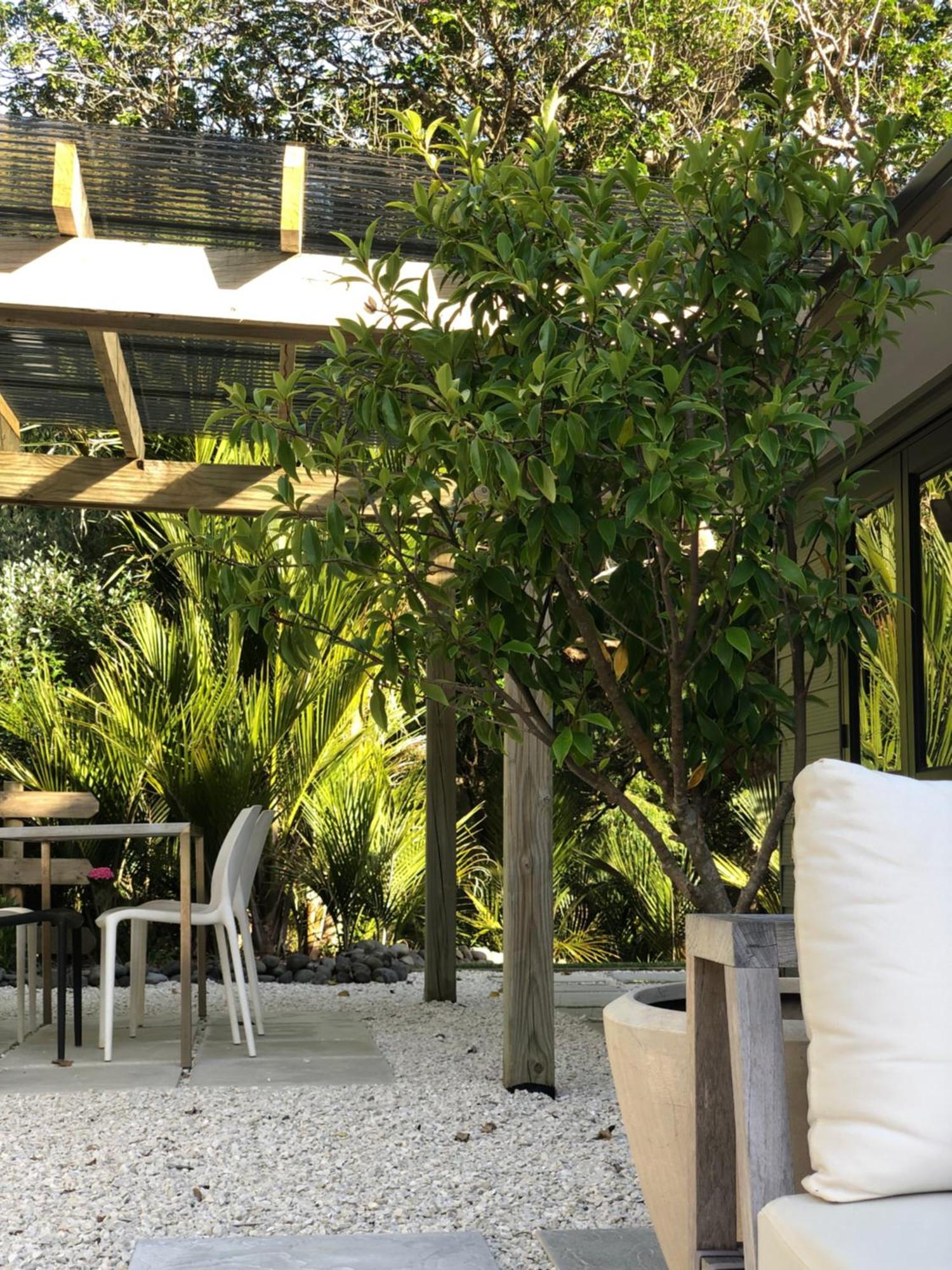 Villetta - Matakana Boutique Luxury Accommodation Zewnętrze zdjęcie